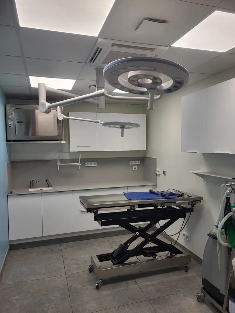 Installation électrique d’une salle d’opération vétérinaire à Cambrai